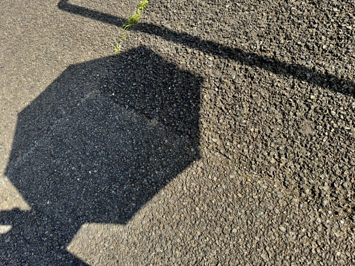 日傘の日陰