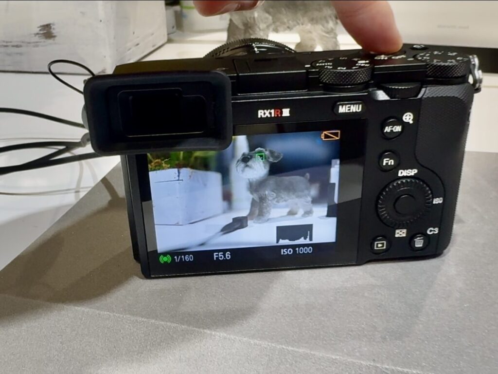 写真作例2