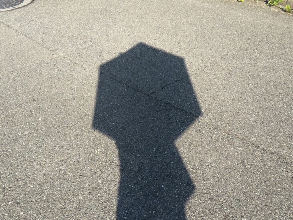 日傘をでできた陰