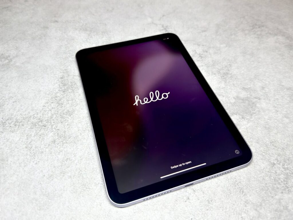 iPad mini本体
